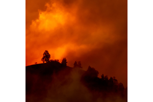 Bad Air Quality Affects Water Quality